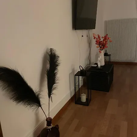 Beauty Coin Exotic Au Centre Mountreux