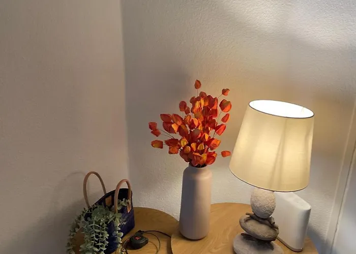 Apartament Beauty Coin Exotic Au Centre Mountreux