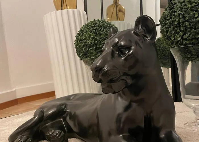 Beauty Coin Exotic Au Centre Mountreux Apartament